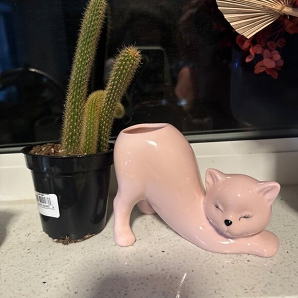 NEW Cat Planter Pot , Indoor and Outdoor Plant Displays - Picture 8 of 8